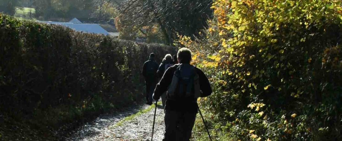 man walking along a track with colourful autumn foliage