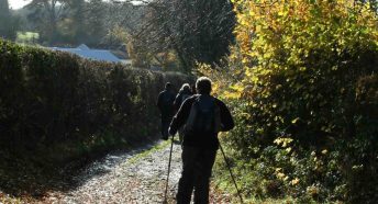 man walking along a track with colourful autumn foliage
