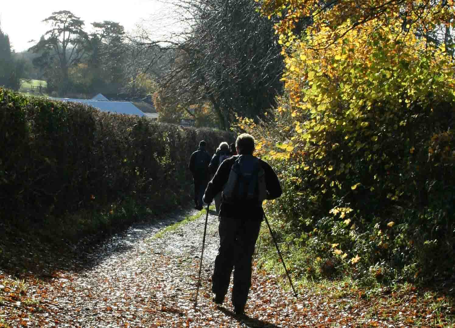 man walking along a track with colourful autumn foliage