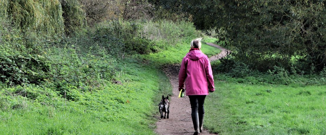 woman and her dog walking on path through lush green landscape