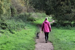 woman and her dog walking on path through lush green landscape