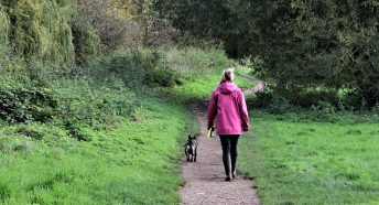 woman and her dog walking on path through lush green landscape