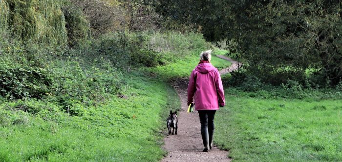 woman and her dog walking on path through lush green landscape