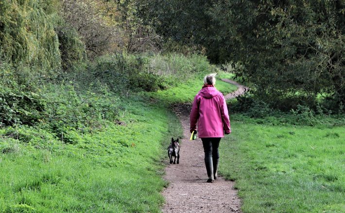 woman and her dog walking on path through lush green landscape