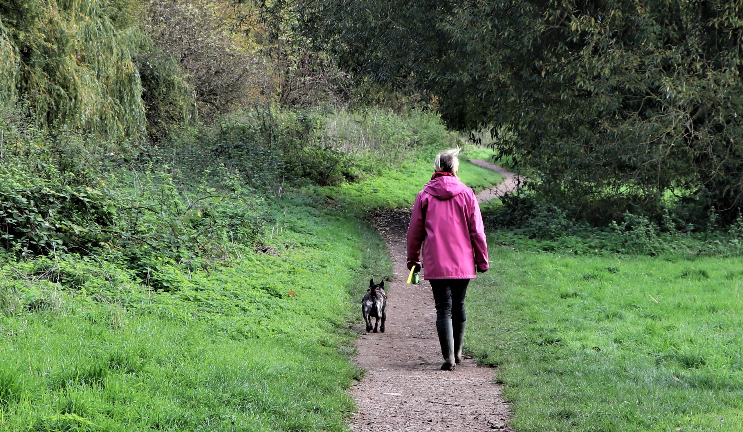 woman and her dog walking on path through lush green landscape