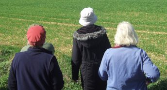 three walkers in a green landscape