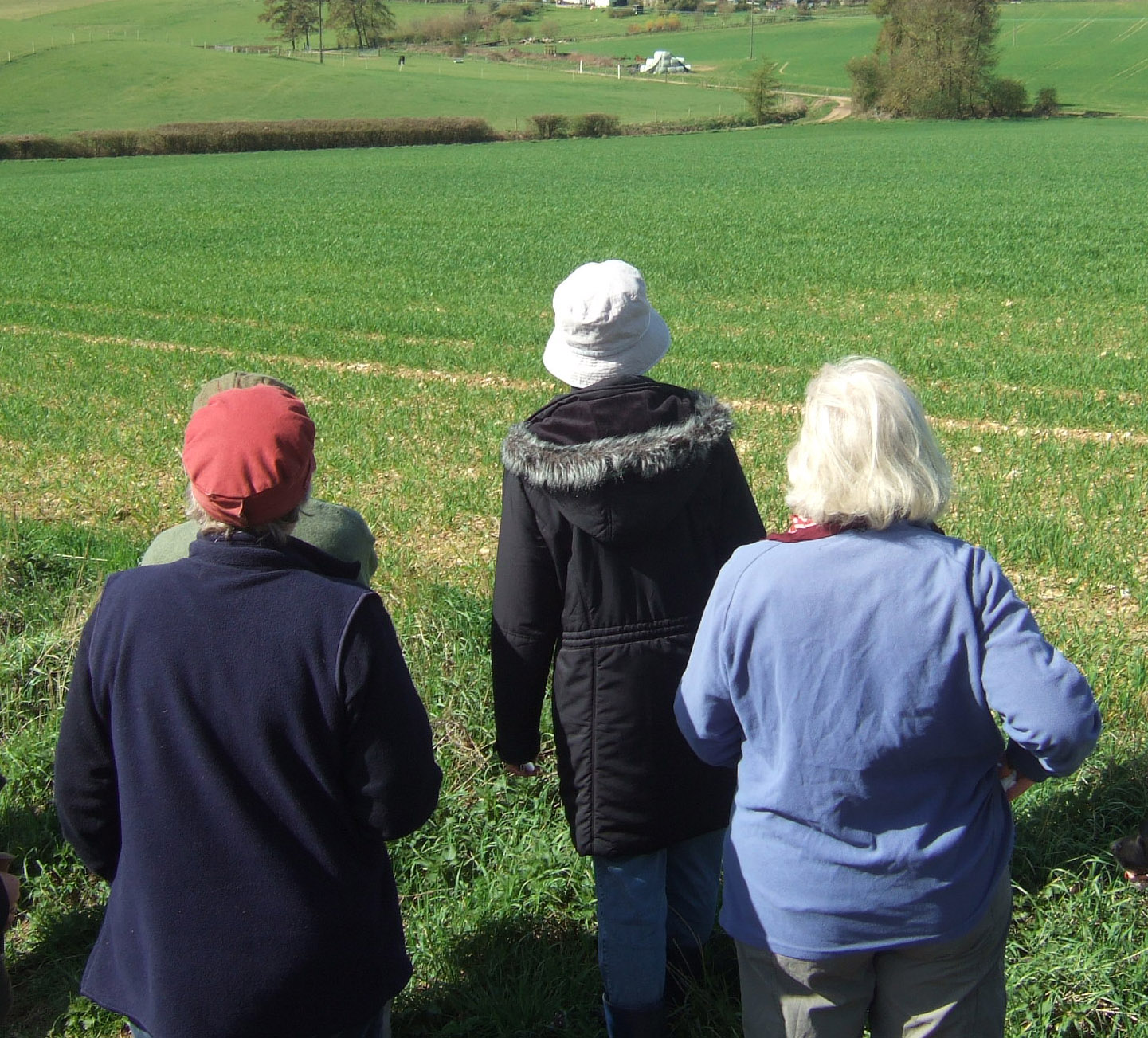 three walkers in a green landscape