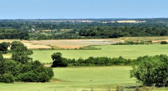 Beautiful green fields, hedgerows and woodland, would be destroyed by large-scale development if the draft local plan goes ahead