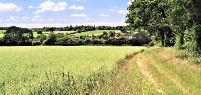 beautiful undulating green fields, hedgerows and trees in the Green Belt