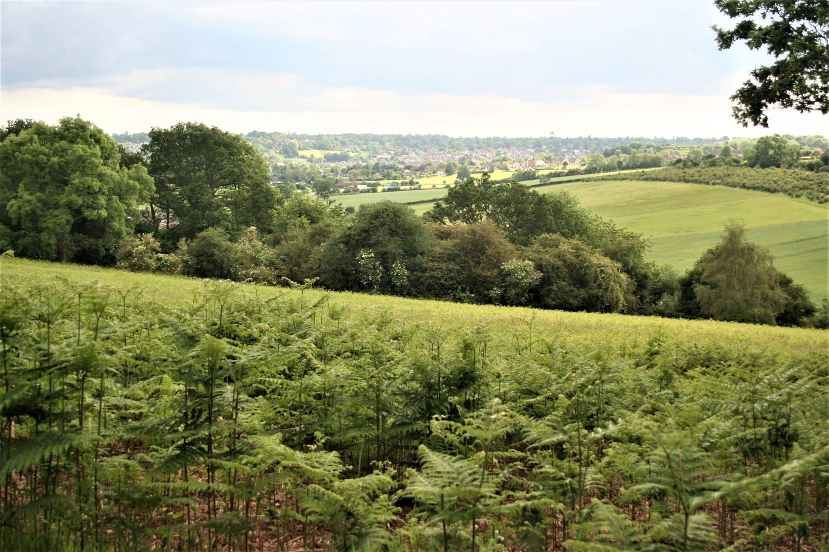 beautiful green hills and valleys with views into the distance