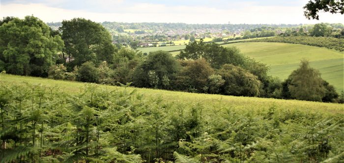 beautiful green hills and valleys with views into the distance