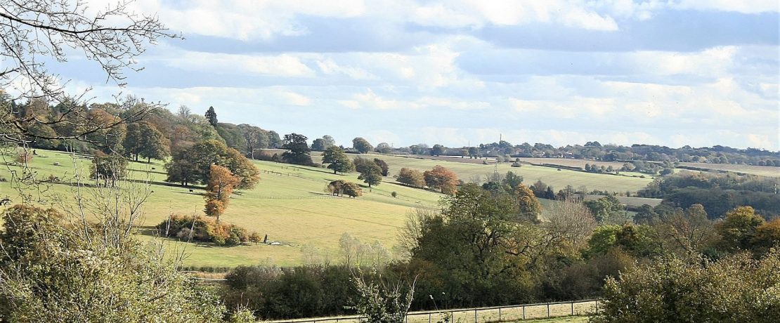 beautiful view across a green valley with scattered trees