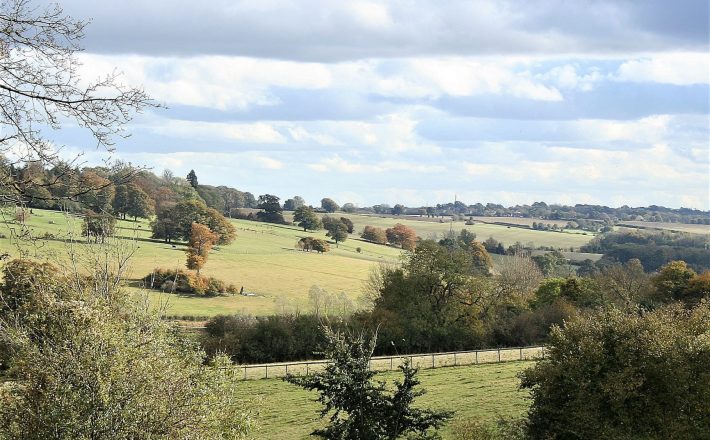 beautiful view across a green valley with scattered trees