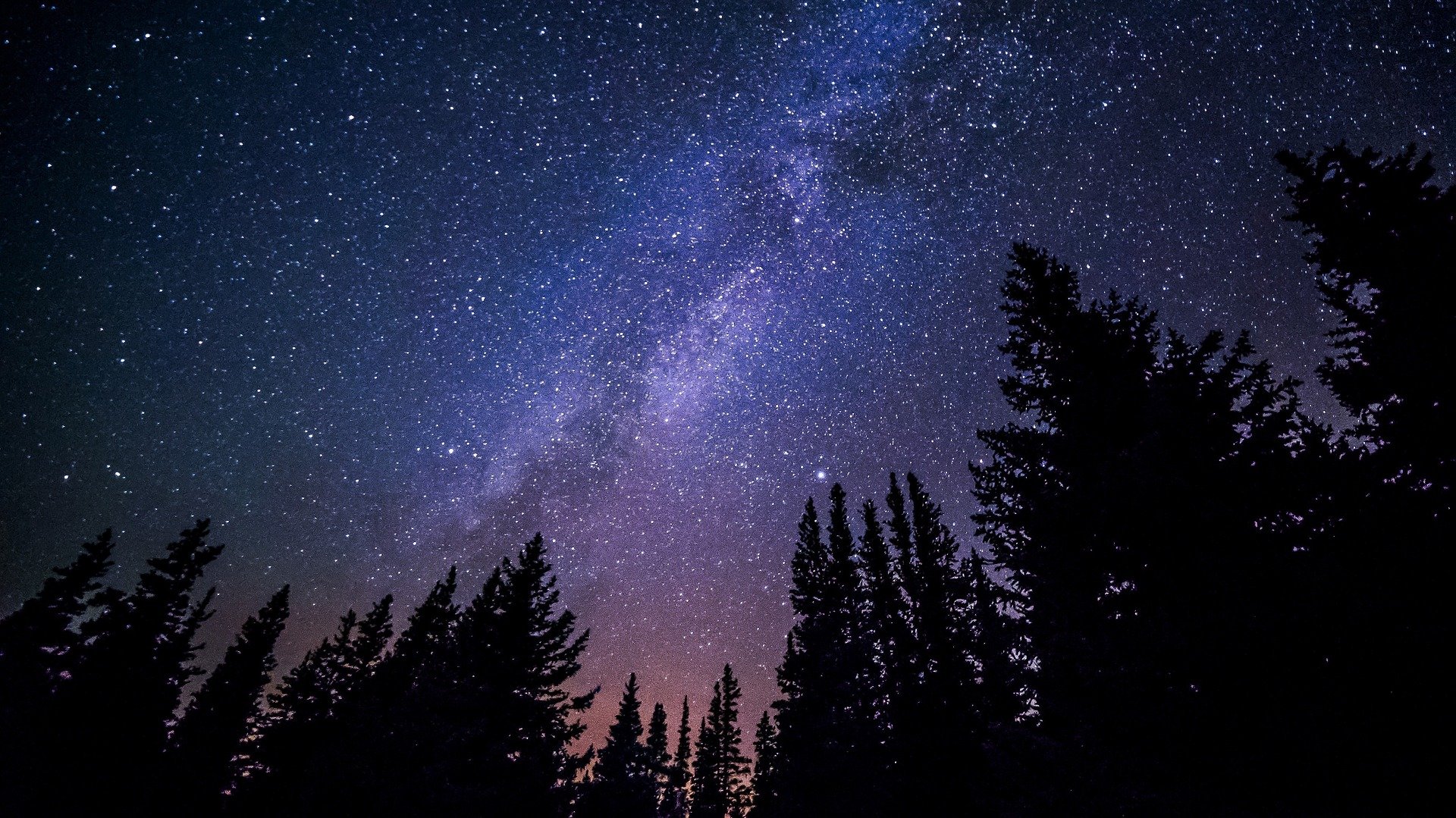 a dark sky at night with hundreds of stars visible in the milky way overhead