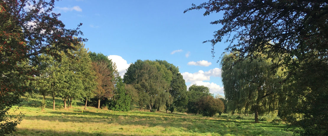 a former golf course, this is a beautiful landscape in the Green Belt with green grass and lots of trees