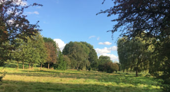 a former golf course, this is a beautiful landscape in the Green Belt with green grass and lots of trees