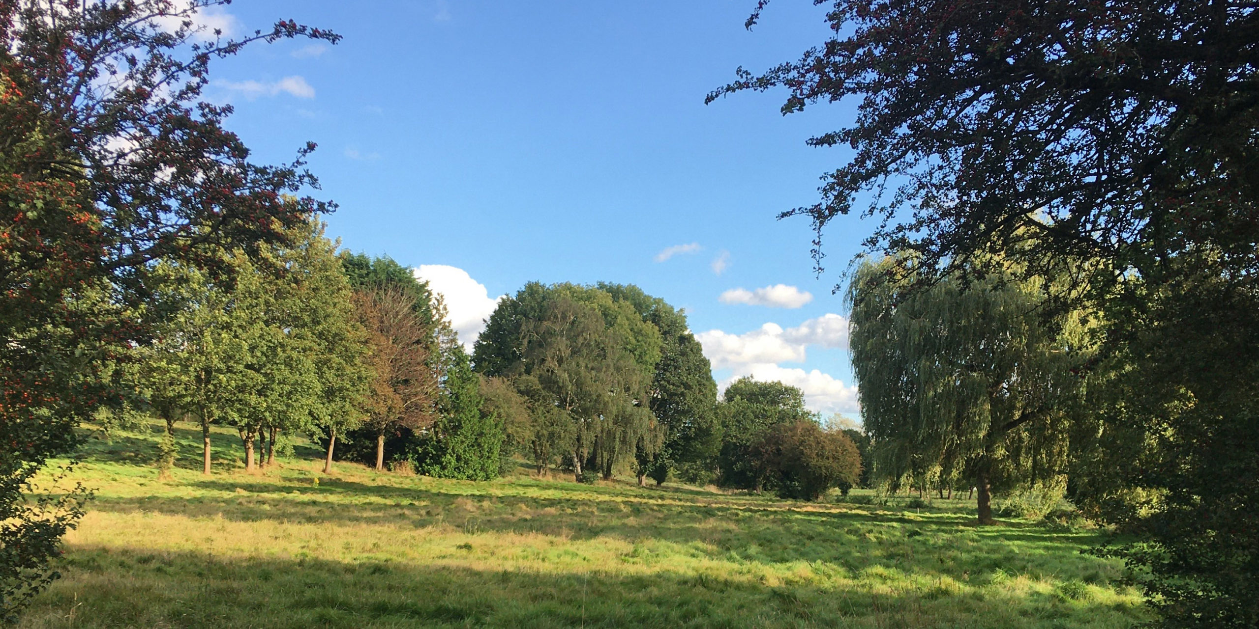 a former golf course, this is a beautiful landscape in the Green Belt with green grass and lots of trees