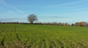 The Green Belt is land like this, beautiful open landscapes with long views, fields and trees, a habitat for biodiversity, and a carbon sink to help mitigate climate change