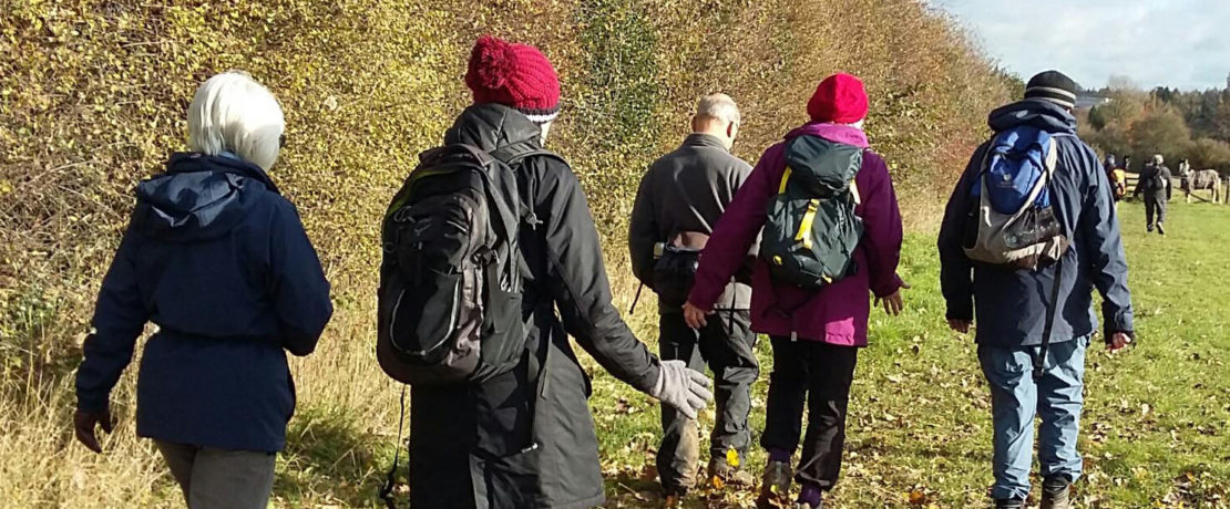 group of walkers in the countryside on a sunny winter day