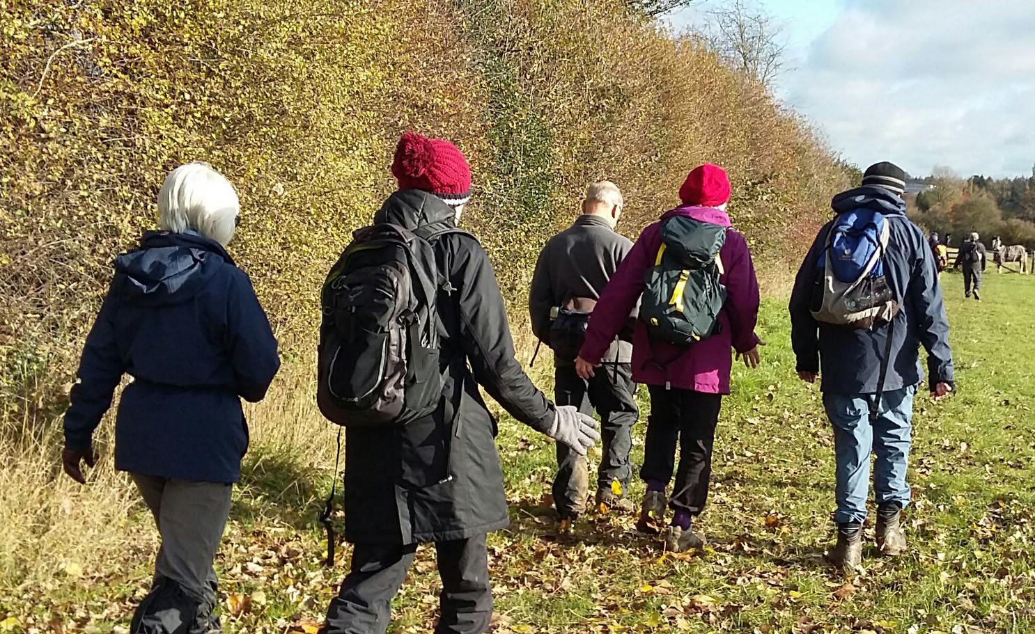 group of walkers in the countryside on a sunny winter day