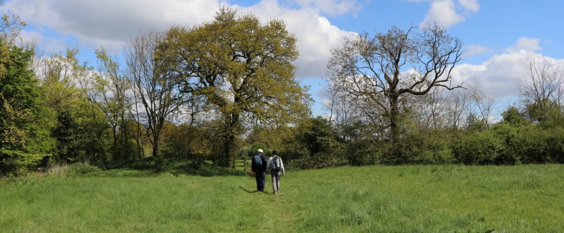 Two walkers in a green grassy field with trees in the background and a blue sky with puffy white clouds