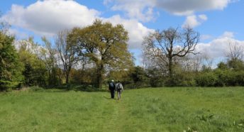 Two walkers in a green grassy field with trees in the background and a blue sky with puffy white clouds