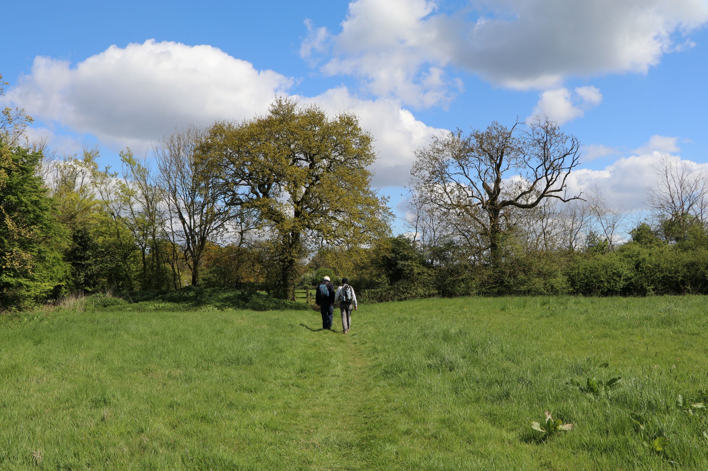 Two walkers in a green grassy field with trees in the background and a blue sky with puffy white clouds