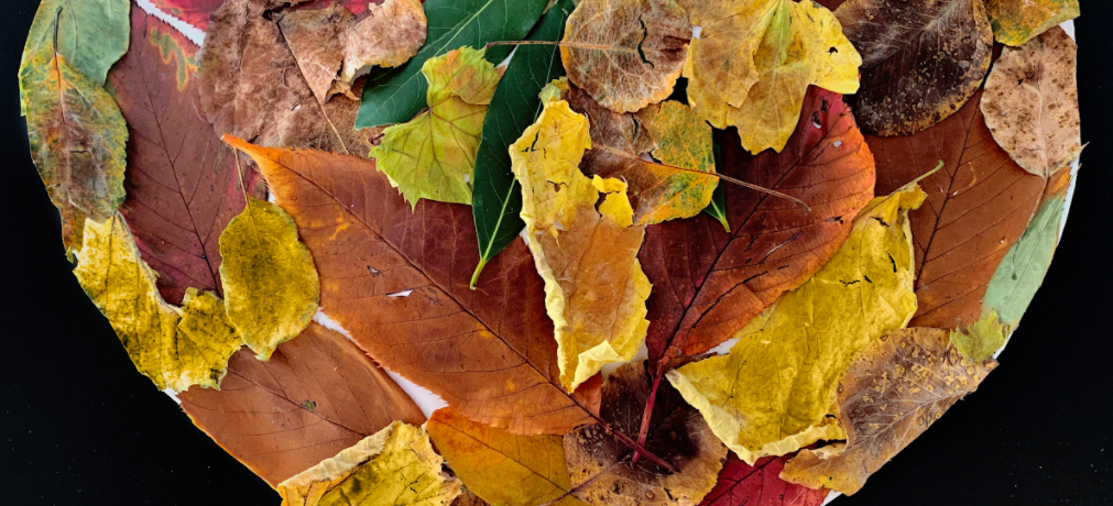 children's art competition, a very colourful collage made of all sorts of leaves, in the shape of a heart