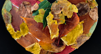 children's art competition, a very colourful collage made of all sorts of leaves, in the shape of a heart