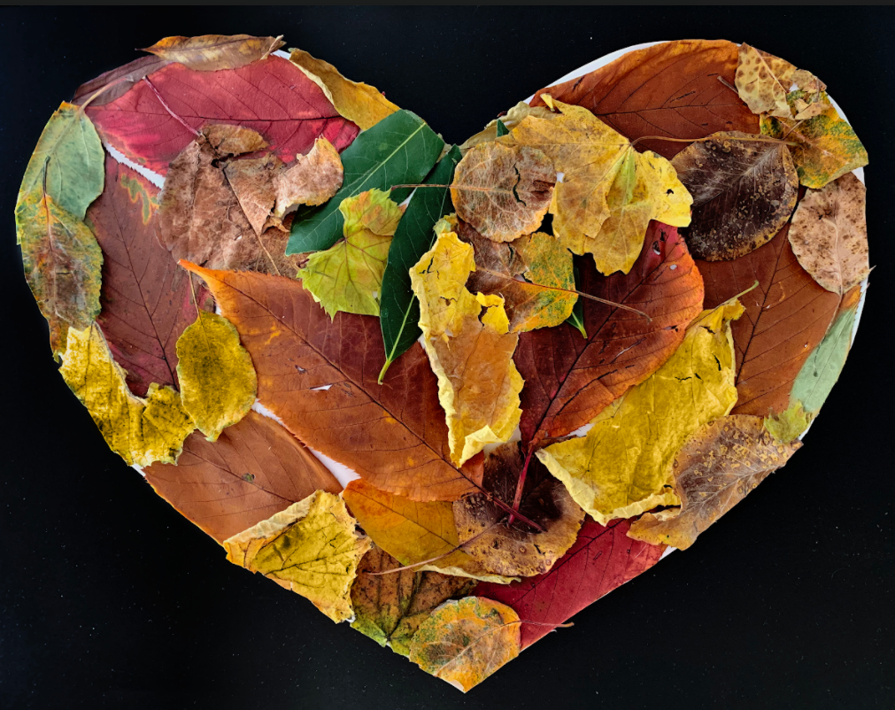children's art competition, a very colourful collage made of all sorts of leaves, in the shape of a heart