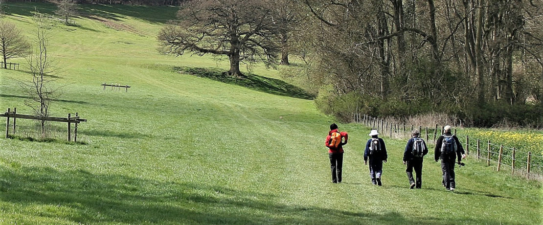 four walkers in a lush green grassy meadow with trees just coming into leaf in the springtime