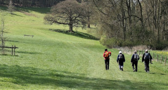 four walkers in a lush green grassy meadow with trees just coming into leaf in the springtime