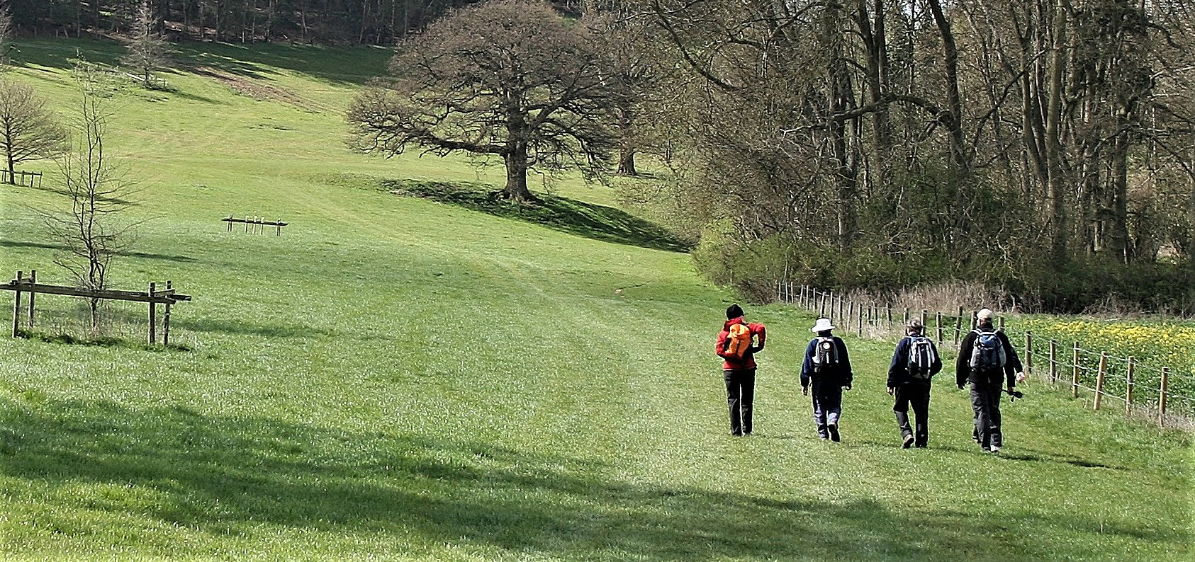 four walkers in a lush green grassy meadow with trees just coming into leaf in the springtime