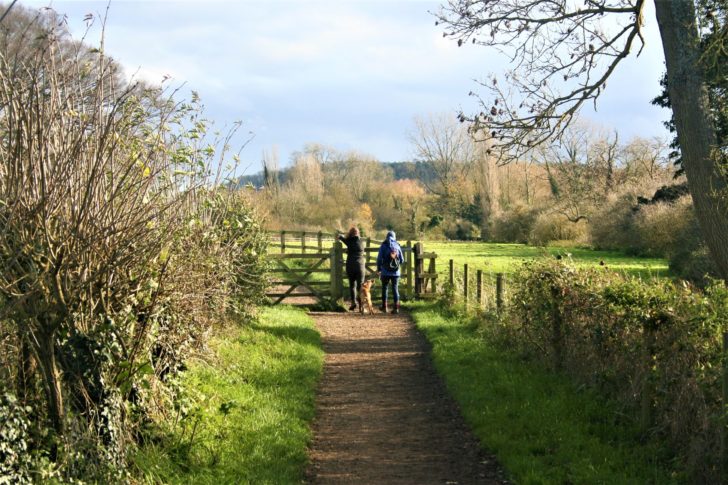 two women and a dog on a footpath in the sunshine, with a hedgerow on one side and fields on the other