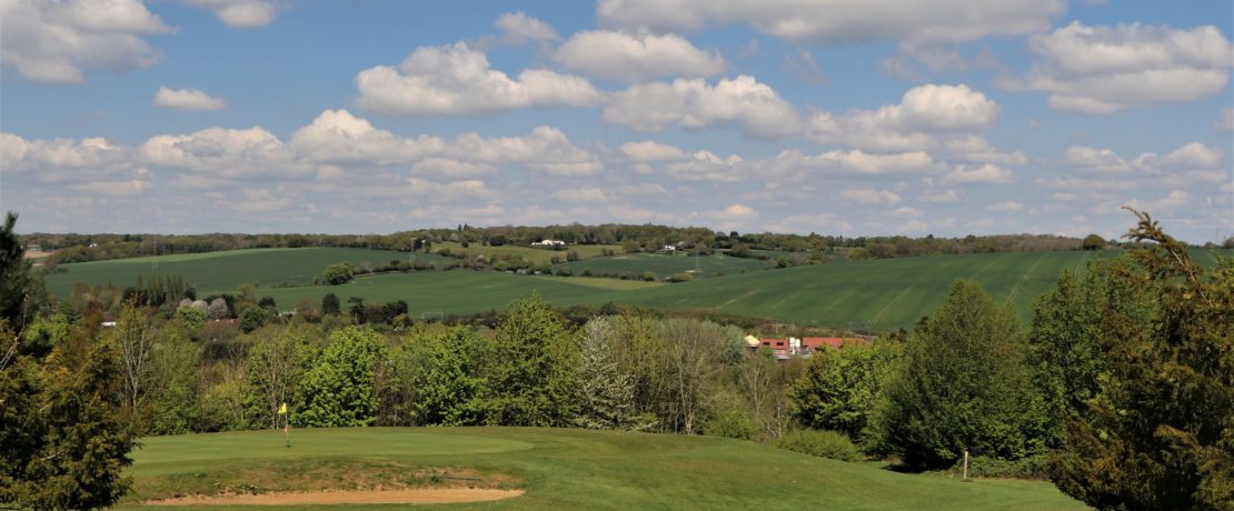 lush sunlit green fields with a blue sky overhead