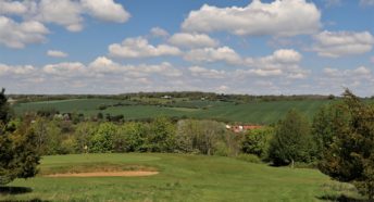 lush sunlit green fields with a blue sky overhead