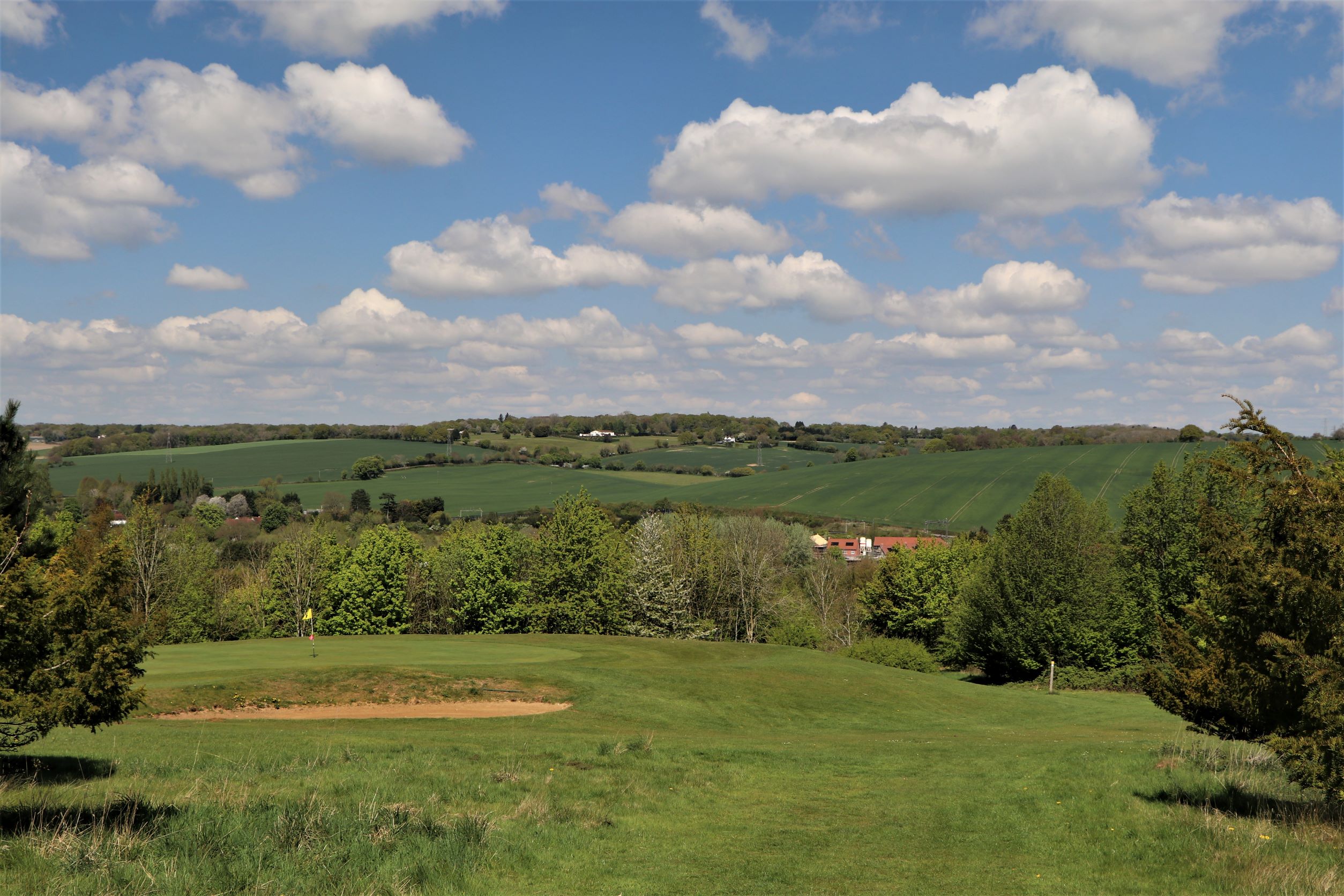 lush sunlit green fields with a blue sky overhead