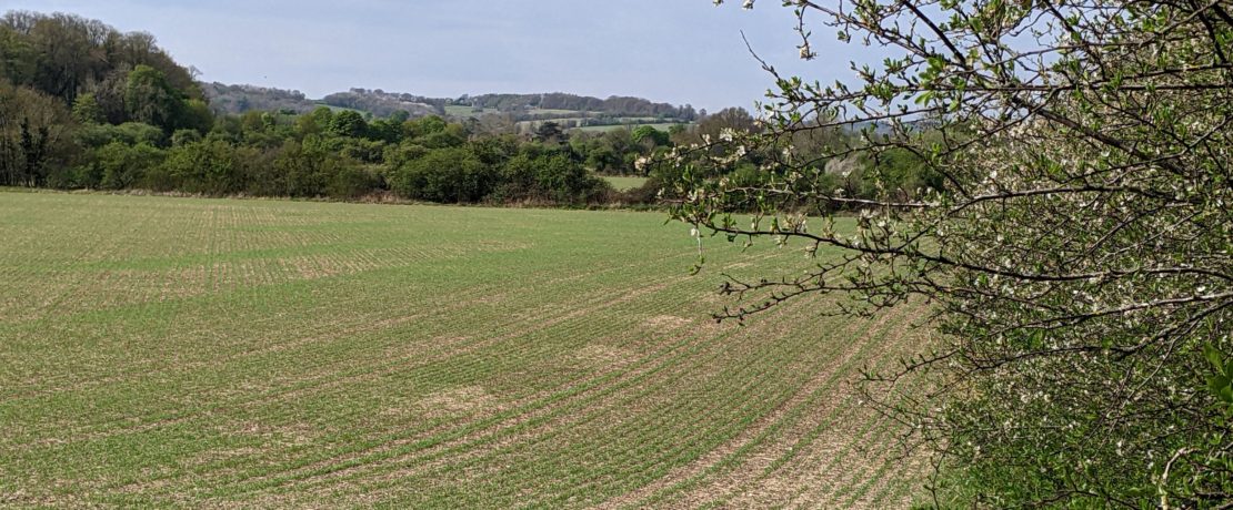 green fields and hedgerows with undulating green hills beyond