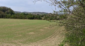 green fields and hedgerows with undulating green hills beyond