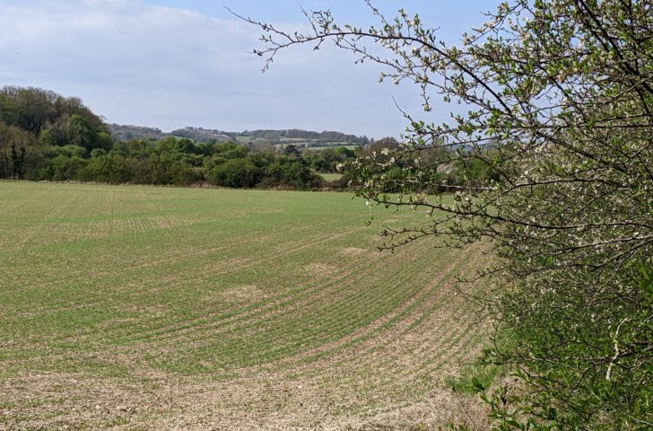 lovely green arable fields, hedgerows, and woodlands