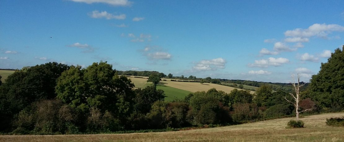 long range view over green grassy fields, woodlands and distant hills with a blue sky and puffy white clouds overhead