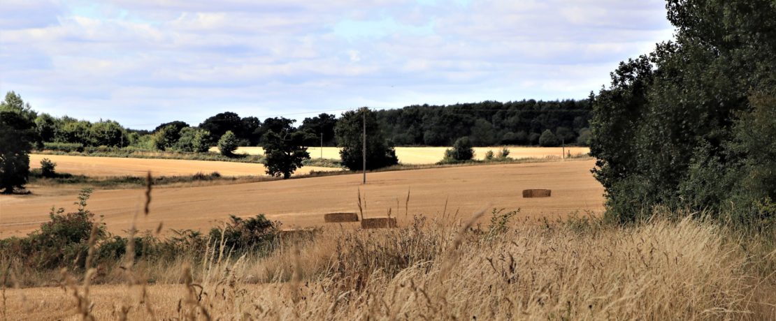 lovely long view of open fields, woodlands and blue sky