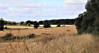 lovely long view of open fields, woodlands and blue sky