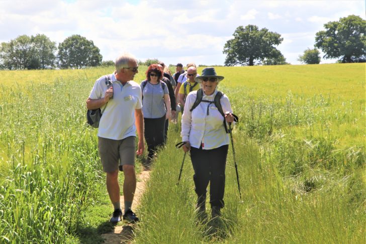 one of our guided walks, a group of walkers on a footpath in the sunshine