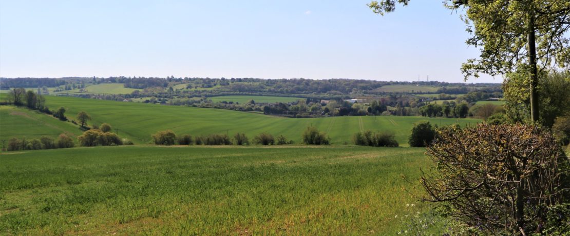 beautiful green fields and undulating hills