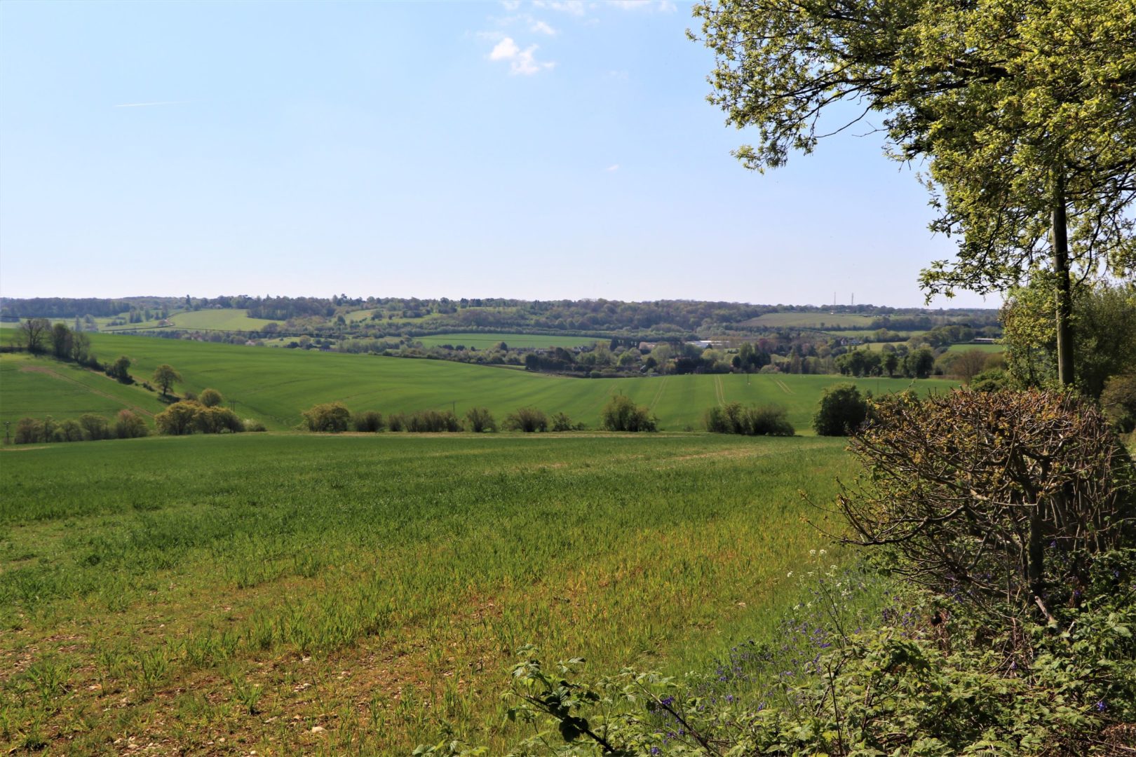 beautiful green fields and undulating hills