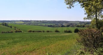 beautiful green fields and undulating hills