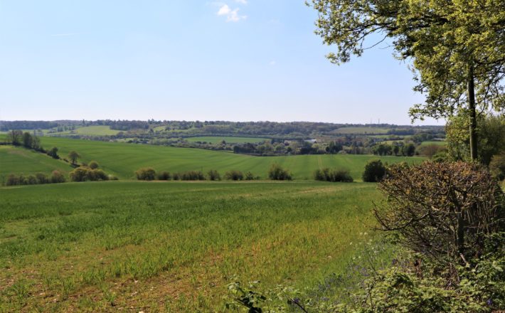 beautiful green fields and undulating hills