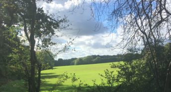 beautiful green pasture land framed by trees, glowing in the sunshine, located in the Green Belt