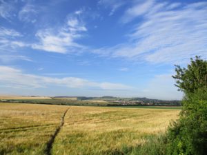 beautiful sunny landscape with grassy field in the foreground and distant hills in the background